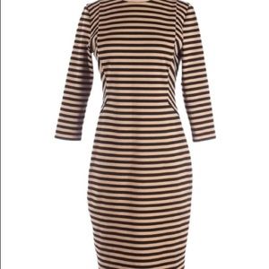 The Limited size 6 Tan Black Striped Dress Exposed Zipper